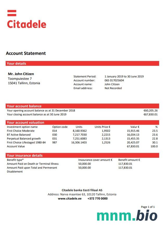 Estonia Bigbank szablon wyciągu bankowego w programie Word i PDF